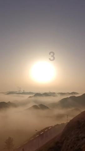 社区里的流浪猫应如何正确救济？游戏画面